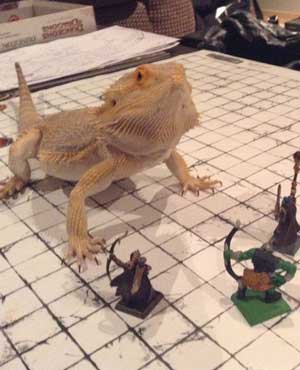 dungeons-and-dragons