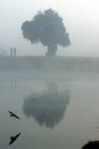 NEBBIA 1