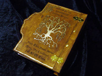 Book_Of_Shadows-Back