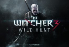 The Witcher Wild Hunt