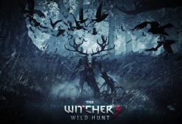 The Witcher 3 Wild Hunt