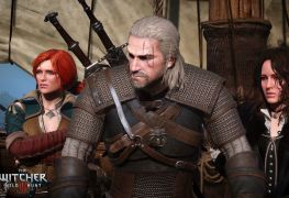 The Witcher Wild Hunt