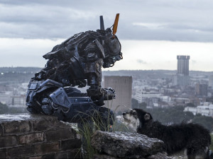 humandroidchappierecensioneneilblomkamp