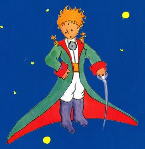 Piccolo Principe recensione