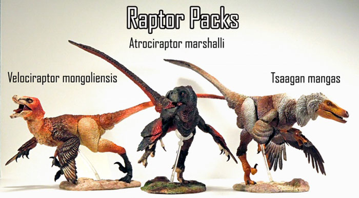 raptors