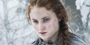sansa kinslayer