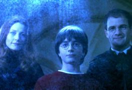 harry-potter-famiglia