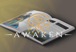 awaken-manuale