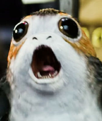 porg